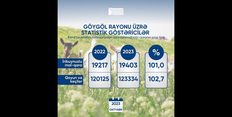 Göygöl rayonu üzrə statistik göstəricilər