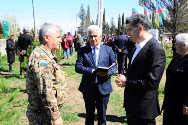 A tree-planting campaign was held in Goygol