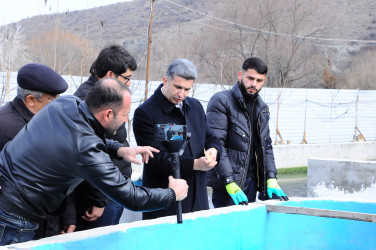 Balıqçılıq təsərrüfatı ilə tanışlıq