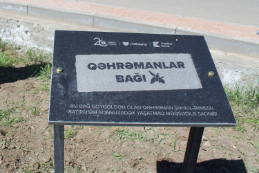 A tree-planting campaign was held in Goygol